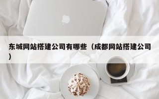 普洱东城网站搭建公司有哪些（成都网站搭建公司）